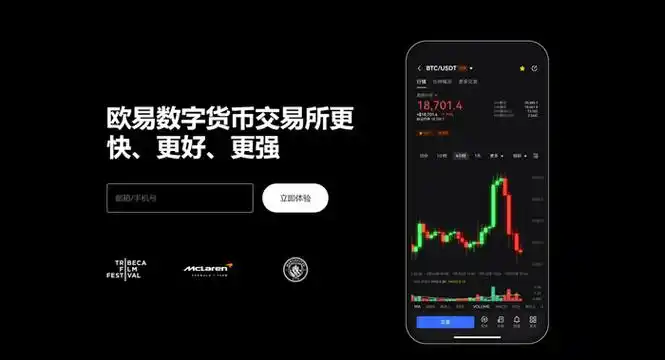 虚拟币官网平台展示图
